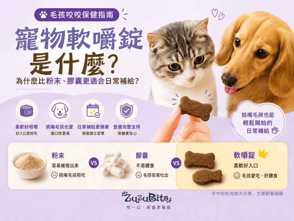 寵物軟嚼錠是什麼？為什麼比粉末、膠囊更適合日常補給？