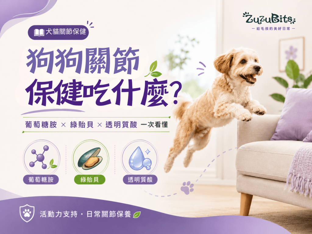 狗狗關節保健吃什麼？葡萄糖胺、綠貽貝、透明質酸一次看懂